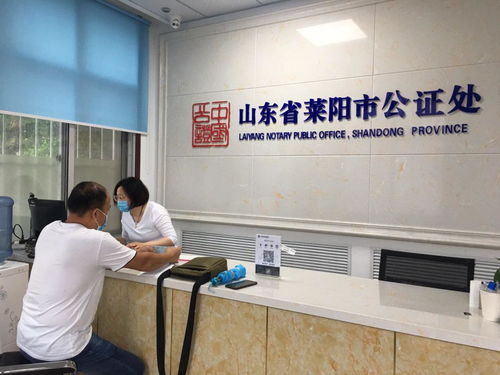 以创新服务模式赋能社会经济咨询，驱动高质量发展新引擎