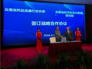 云南省经济社会大数据研究院 以数据驱动，赋能社会经济咨询服务新篇章