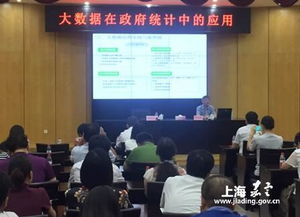 大数据赋能政府统计 区统计局调查队举办专题讲座，深化社会经济咨询服务能力
