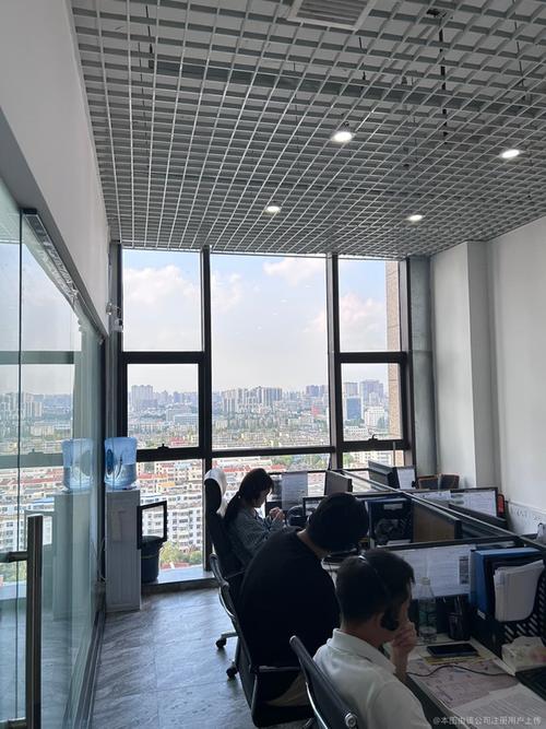 社会经济咨询服务的多维价值解析